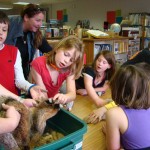 Green Mountain Conservation Group