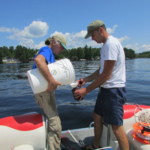 Green Mountain Conservation Group