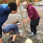 Green Mountain Conservation Group