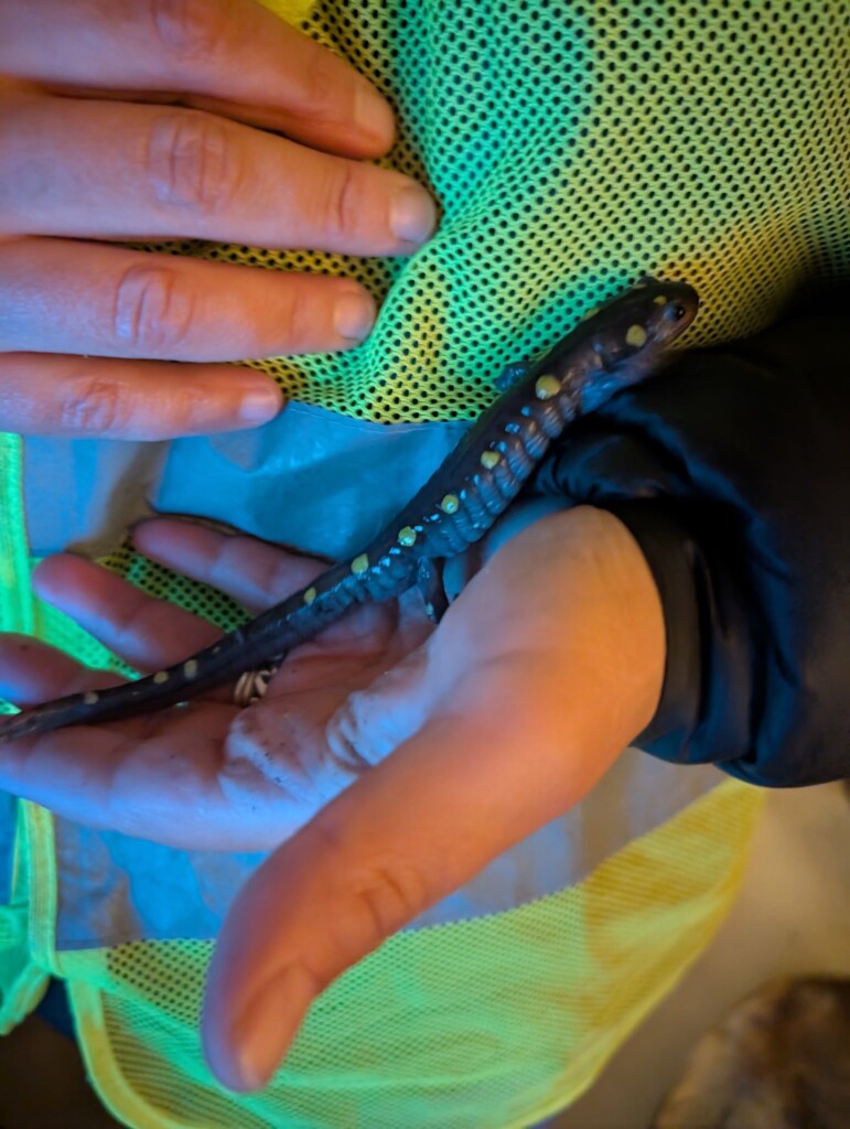 493147853_1094760622687014_6957161829847116880_n