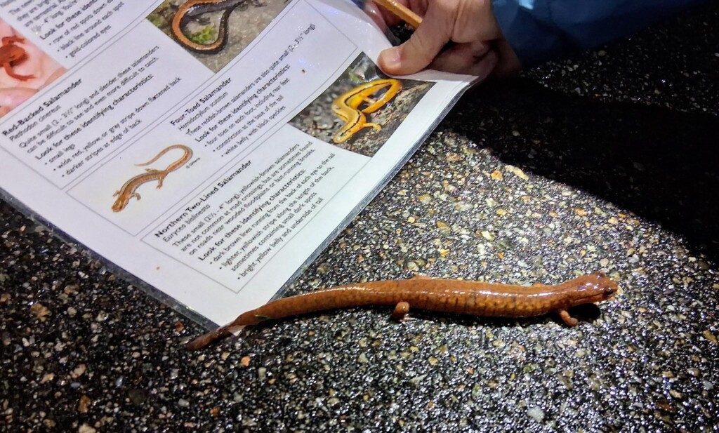 493225091_1095553062607770_1972604238782219850_n